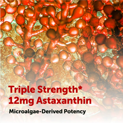 VYZEN Anti-Aging Bundle: Astaxanthin 12mg + NMN 1000mg